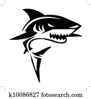 Shark Vector Illustration Shark Vector Illustration