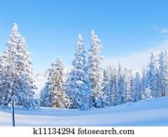 Skiing slope Skiing slope