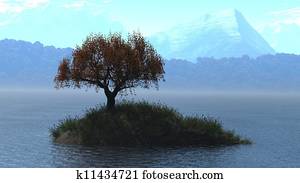 Small island with soltary tree