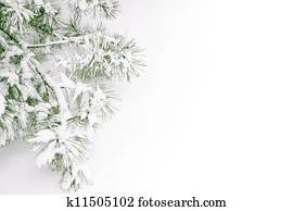 Snow covered branch Snow covered branch