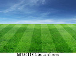 soccer field soccer field