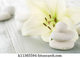 Spa Concept Spa Concept