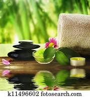 Spa Treatment Spa Treatment