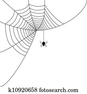 Spider web Spider web