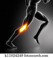 sport, knie, schmerz, begriff