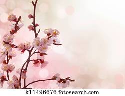 Spring Blossoms Border Spring Blossoms Border