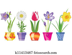 Spring Flowers In Pots Spring Flowers In Pots