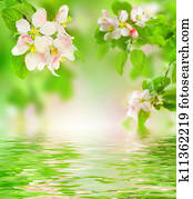 Spring Spring