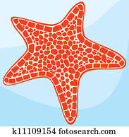 starfish starfish