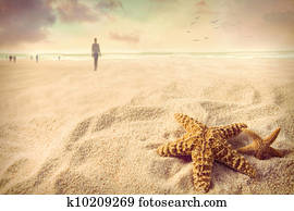 Starfish on the sand at the beach Starfish on the sand at the beach