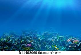 submarinas, recife coral, fundo