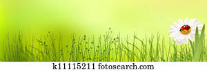 Summer banner Summer banner