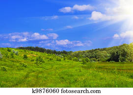 Summer landscape