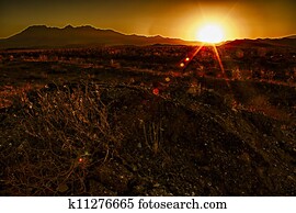 Sunset over desert