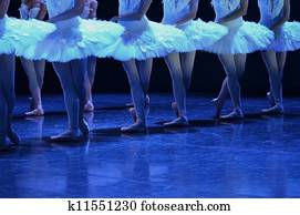 Swan lake Swan lake
