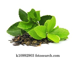 Tea leaves Tea leaves