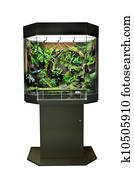 terrarium for tropical rainforest pets
