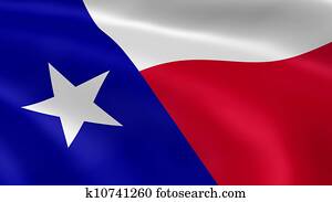 Texan flag in the wind Texan flag in the wind