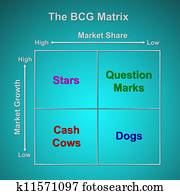 examples of stars in bcg matrix