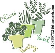 Three pots of herbs with their names Three pots of herbs with their names