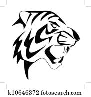 tiger, gesicht tiger, gesicht