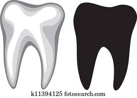 tooth tooth