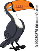 Toucan Bird Cartoon