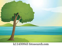 tree and river tree and river