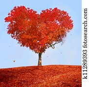 Tree of love Tree of love