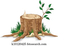 Tree stump