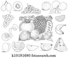 Tropical fruits Tropical fruits