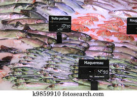trouts, mackarels and goatfish on fish market