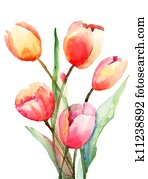 Tulips flowers, Watercolor painting Tulips flowers, Watercolor painting
