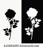 Beautiful black and white seamless pattern in roses with contours Clip ...