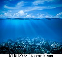 Underwater coral reef seabed view with horizon and water surface split by waterline