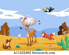 various animals various animals
