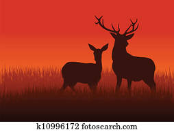 veado, e, corça