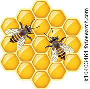 vector bees on honeycells vector bees on honeycells