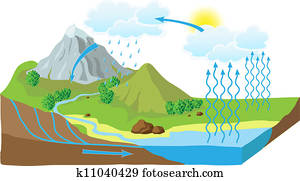 Vector schema of the water cycle in nature Vector schema of the water cycle in nature
