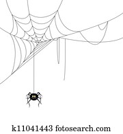 vetorial, aranha, e, um, teia