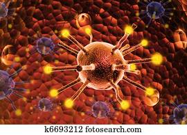 virus virus