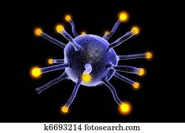 virus virus