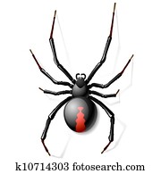 viúva preta, aranha