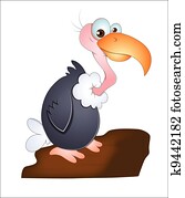 Vulture Bird Vulture Bird