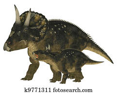 vuxen, och, ung, nedoceratops