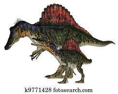 vuxen, och, ung, spinosaurus