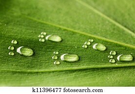 Water footprints on leaf