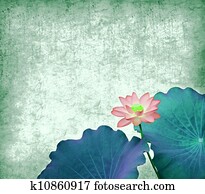 Water Lily on grunge textured Water Lily on grunge textured