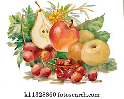 Watercolor Flora Collection: Fruits