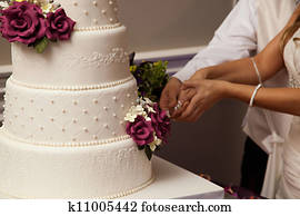 Wedding Cake Wedding Cake